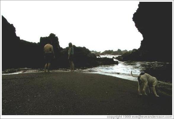 Jin, Beth, and a dog, silhouetted against the rocky coast. Hana, Maui.