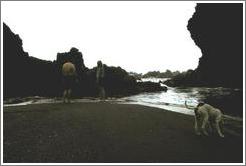 Jin, Beth, and a dog, silhouetted against the rocky coast. Hana, Maui.