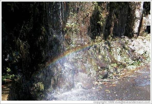 Rainbow in a roadside waterfall. Road to Hana, Maui. 