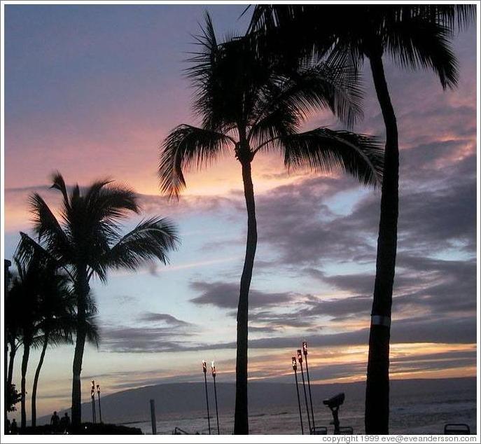 Kaanapali lamps at sunset.