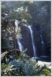 Waterfall on the road to Hana.