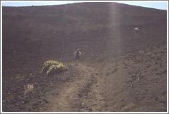 Beth walking down Haleakala.