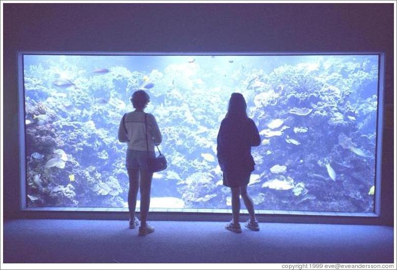 Eve and Beth at the Maui Ocean Center.