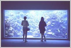 Eve and Beth at the Maui Ocean Center.