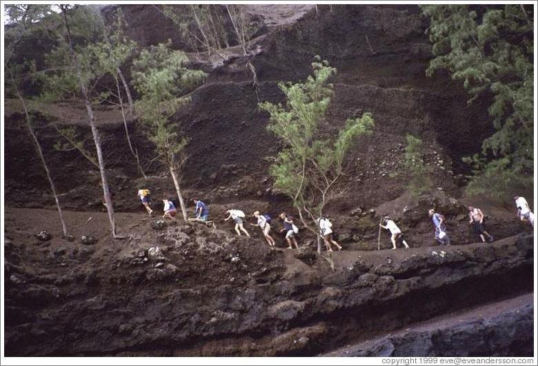 Hikers on path to red sand beach.