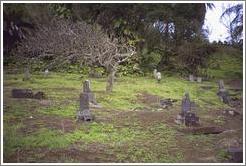 Japanese Graveyard. Hana.