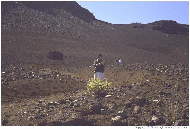 Jin reading. Haleakala.