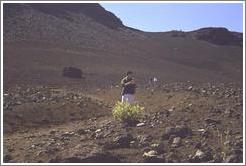 Jin reading. Haleakala.