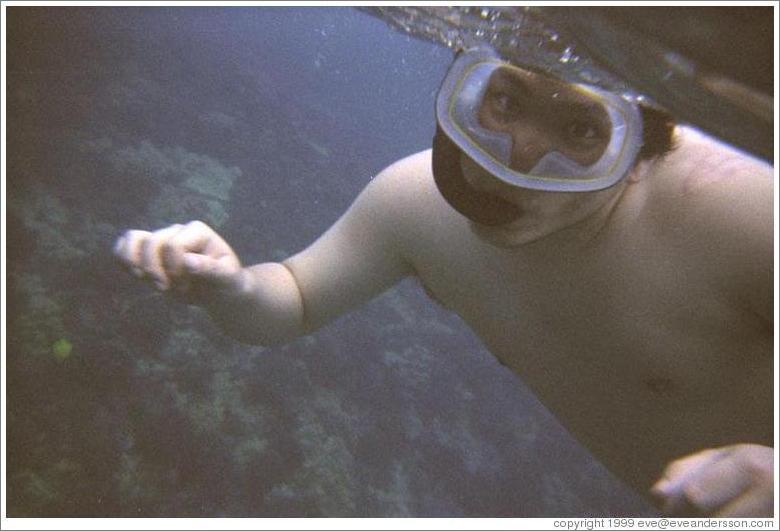 Jin underwater.  Molokini.