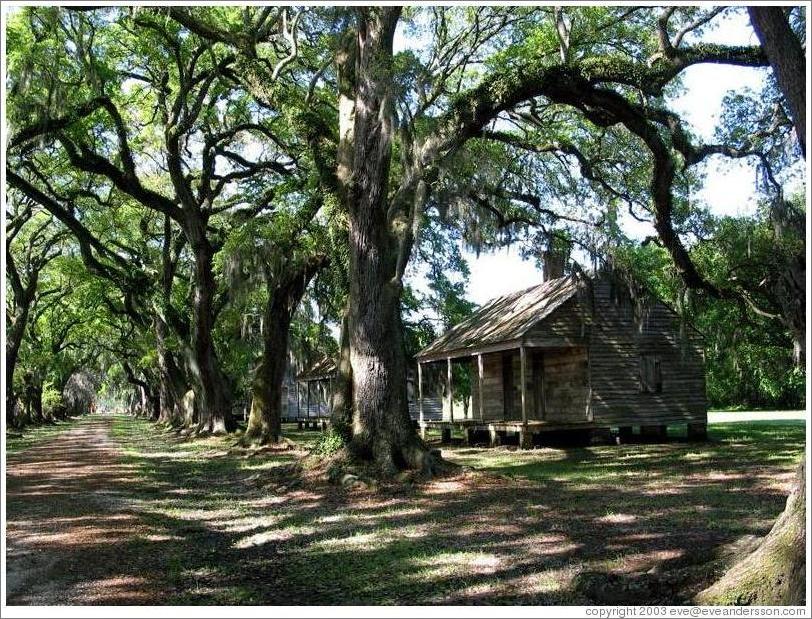 Evergreen Plantation.  Slave quarters.