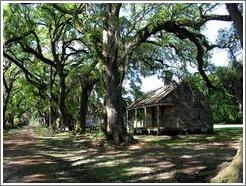 Evergreen Plantation.  Slave quarters.