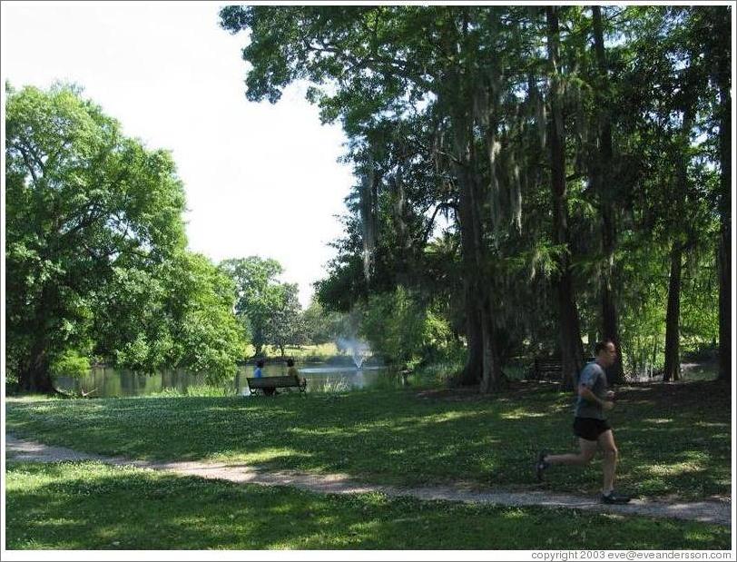 Garden district. Audubon Park. (Photo ID 9262neworlea)