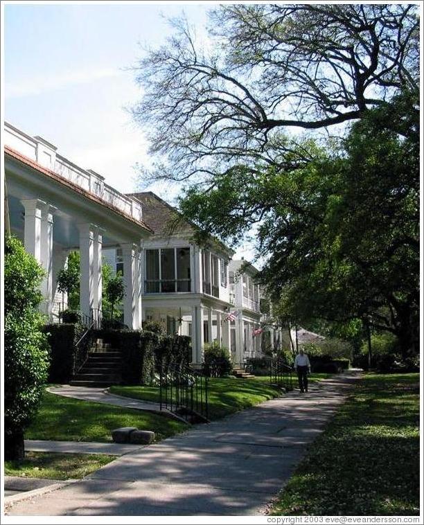 Garden district. Homes along Audubon Park. (Photo ID 9263neworlea)