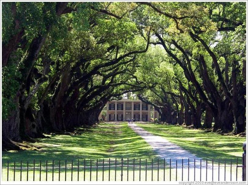 Oak Alley Plantation.  