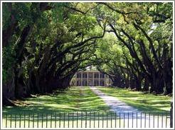 Oak Alley Plantation.  