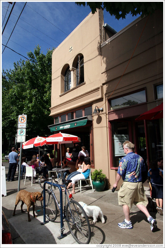 Mio Gelato Caffe Italiano on 23rd Ave. Alphabet District.