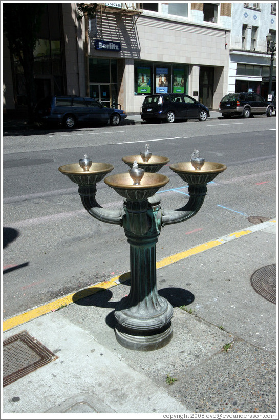 Decorative drinking fountain. Tower District.