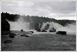 Previous Photo
