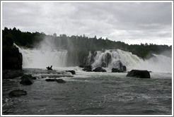 Willamette Falls.