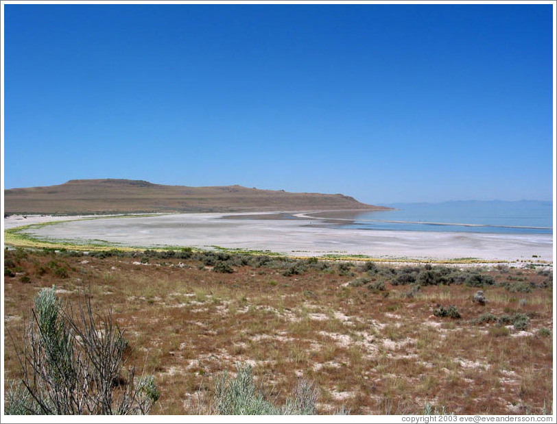 Antelope Island beach.