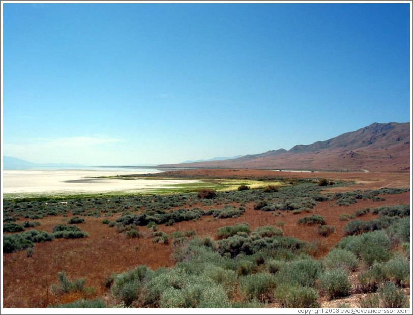 Shrubby terrain of Antelope Island.