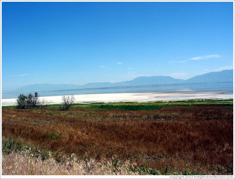 Antelope Island.