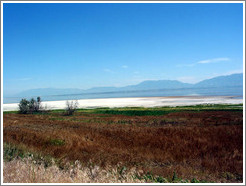 Antelope Island.