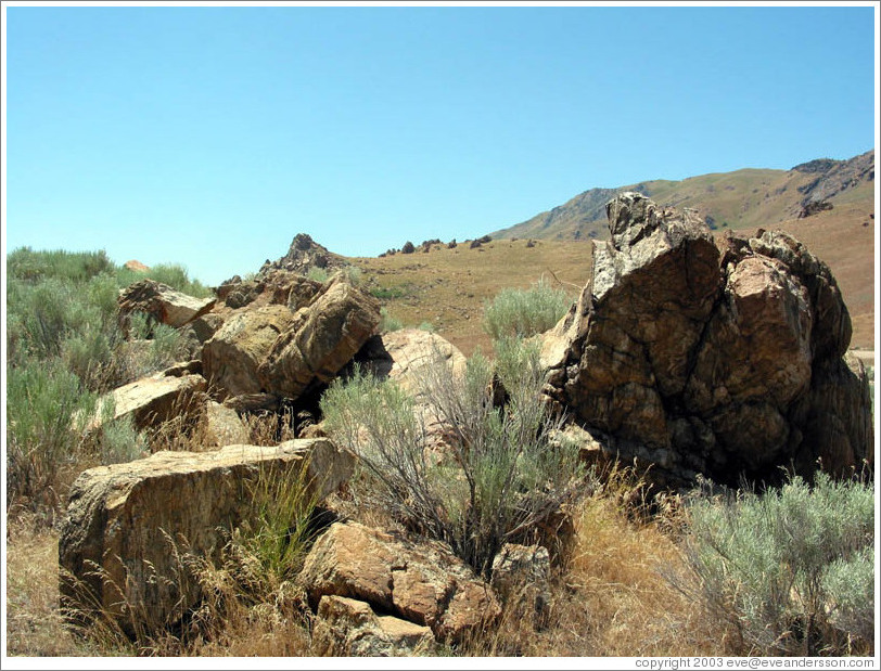 Antelope Island.