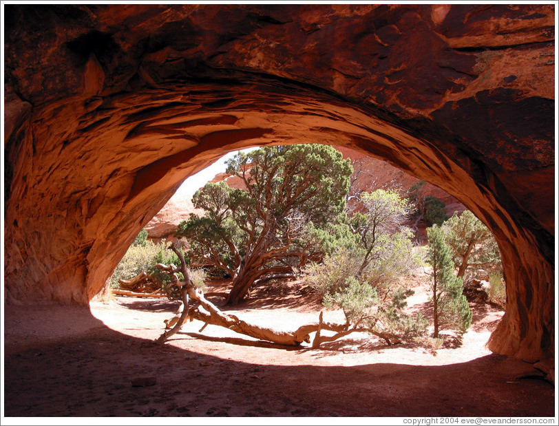 Navajo Arch.