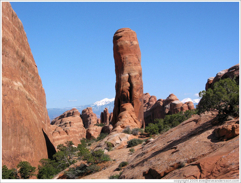 Along the path to Double O Arch.