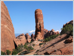 Along the path to Double O Arch.