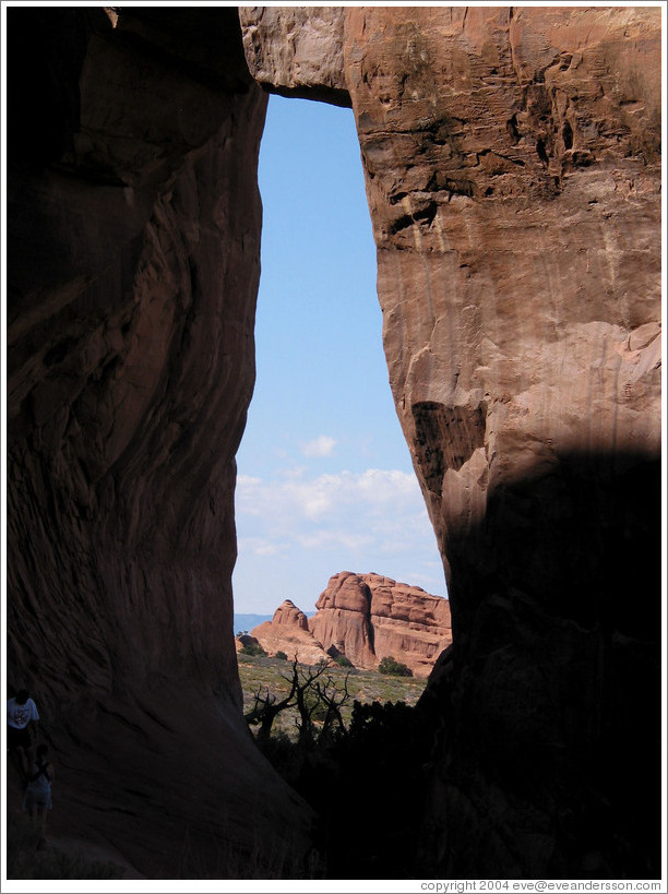 Pine Tree Arch.