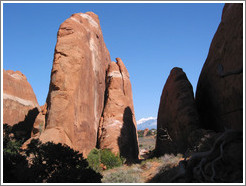 Devil's Garden trailhead.