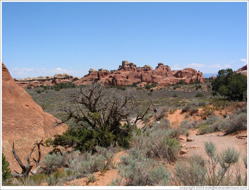 View near Tunnel Arch.