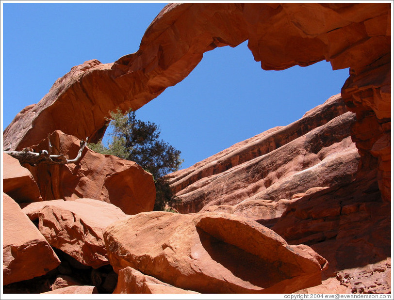 Wall Arch.