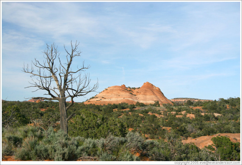 Burr Trail