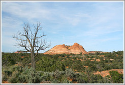 Burr Trail