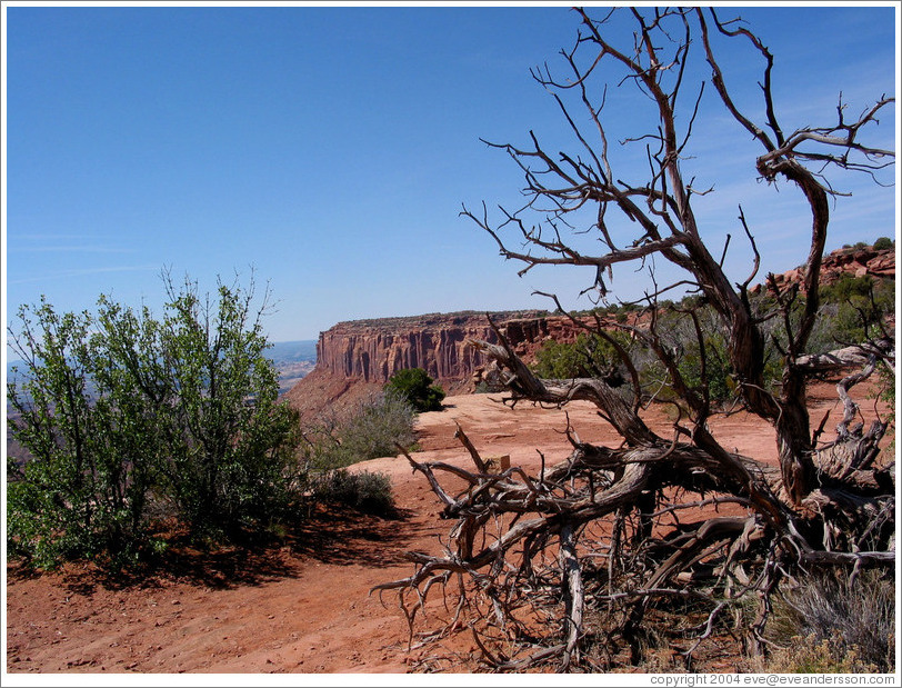 Grand View Point.