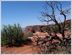 Grand View Point.