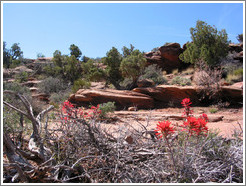 Grand View Point.