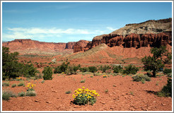 Butte with yellow flowers.