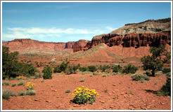 Butte with yellow flowers.