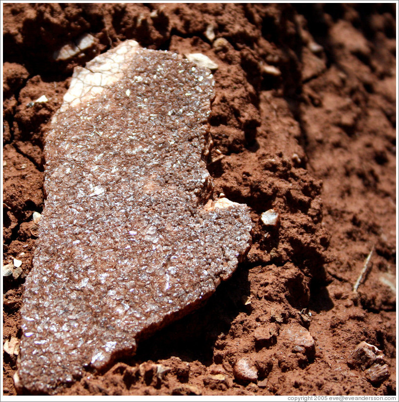 Mica embedded in rock.