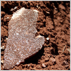 Mica embedded in rock.