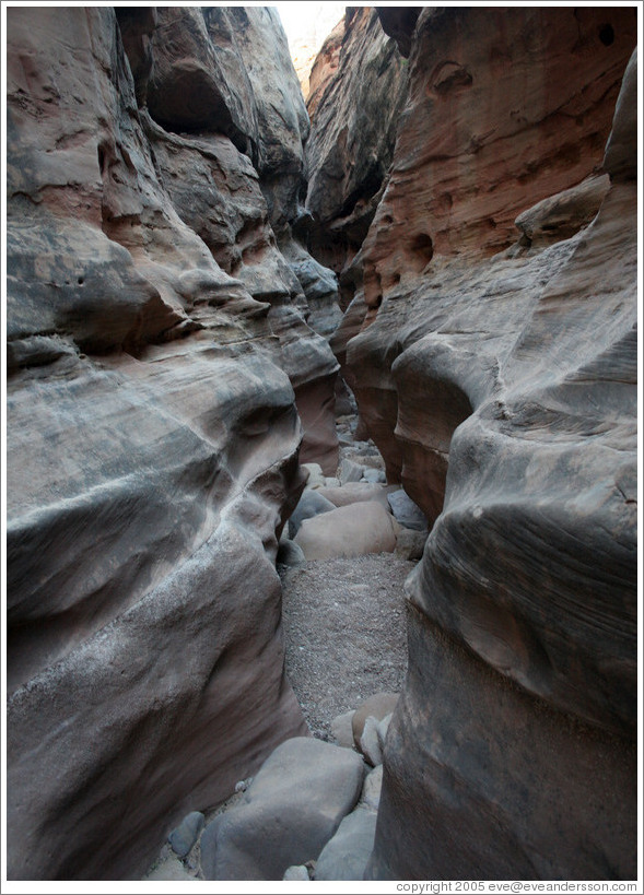 Little Wild Horse Canyon.