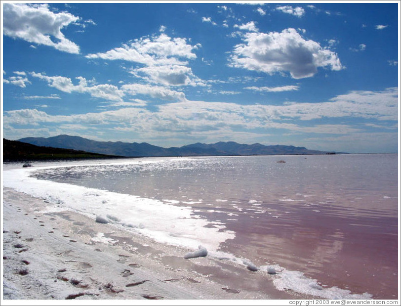 Footsteps on the shore of the Great Salt Lake, near the Spiral Jetty.