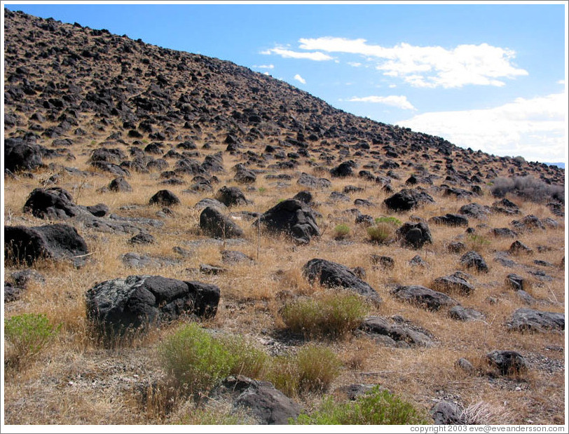 Hillside scattered with volcanic rock near the Spiral Jetty.