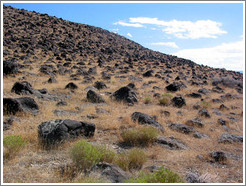 Hillside scattered with volcanic rock near the Spiral Jetty.