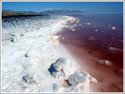 Pink water with white salt crystals, near the Spiral Jetty.