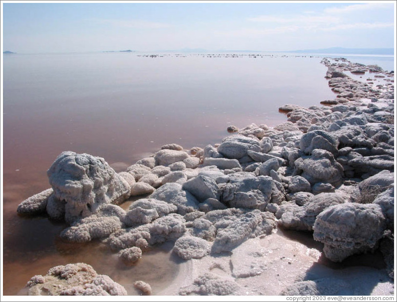 Pink water with white salt crystals, near the Spiral Jetty.